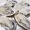 10％OFF中 生牡蠣 生食用 牡蠣２kg~13kg 殻付き 牡蠣 殻付き牡蠣