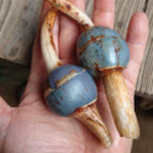 埼玉産くわい【S玉・1kg】（繁忙期受付）