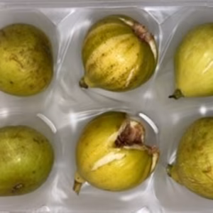 本日のタイムセール21:30まで　「レアいちじく」