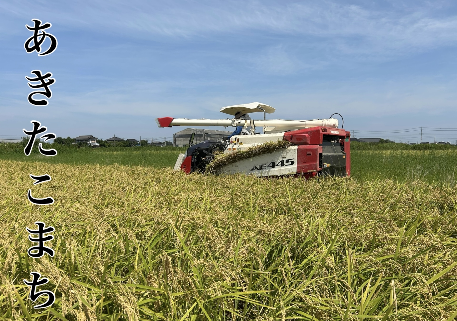 令和7年産新米【あきたこまち精米10㎏】を農家直送でお届け｜白米の