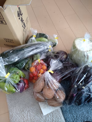 みんなの投稿の画像