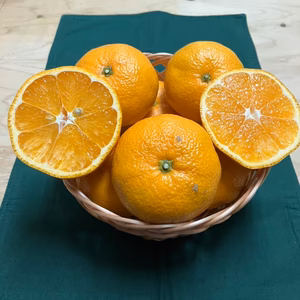 青島温州とぽんかんの詰め合わせ箱込み5kg