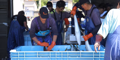 日本でとれたお魚を食べよう！漁師直送で買える国産魚をご紹介
