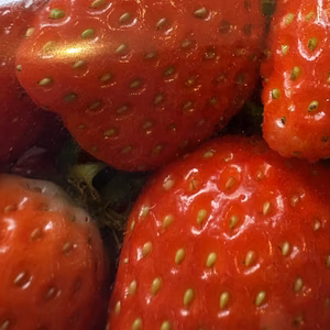 合計８０粒も入った４パックセット、１パックは５００gパックで苺が２０粒も入ったハ