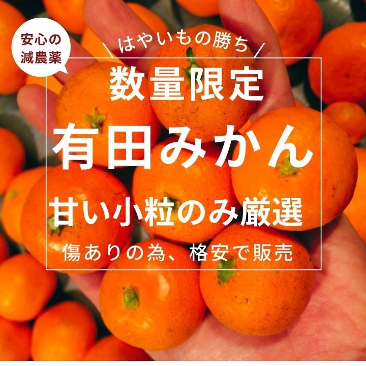 傷あり 小玉 小粒 減農薬 甘い うまい 安いの有田みかん 早生 ss｜果物