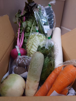 みんなの投稿の画像