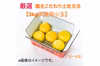 【新発売】厳選 園主こだわり土佐文旦3kg小玉【家庭用】
