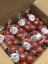 ★500g×8袋‼️4kg詰め　かねこのトマト農園