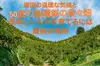  【新発売】【No.3おすすめ】 厳選 園主こだわり土佐文旦10kg大玉【家庭用