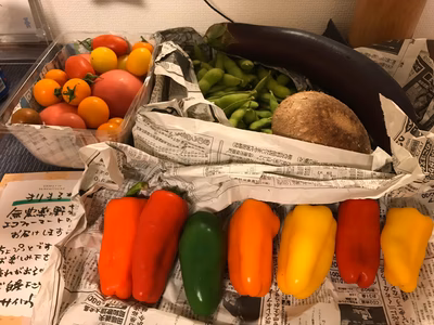 みんなの投稿の画像