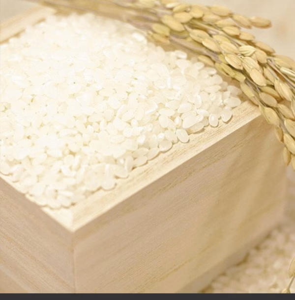 毎月定期　令和6年産コシヒカリ　