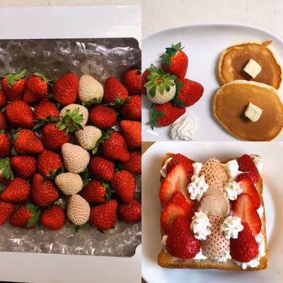 みんなの投稿の画像