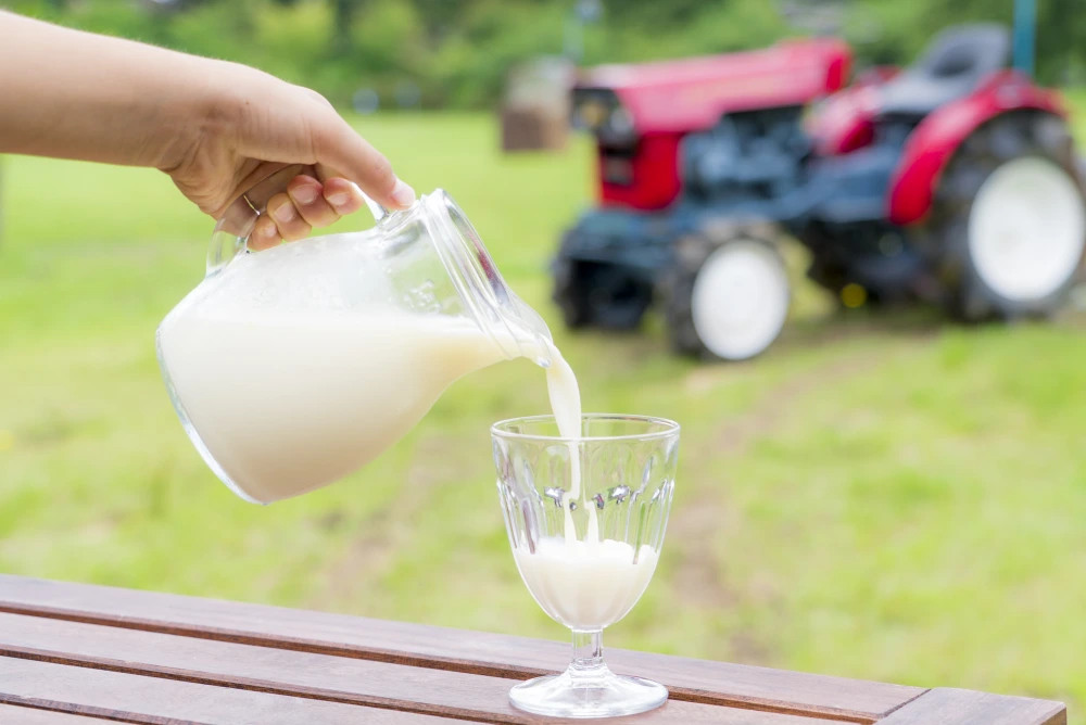 日本で唯一⁉︎殿さまが搾る牛乳のヨーグルトドリンク