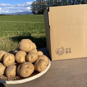 北海道産じゃがいも【きたあかり】　サイズ混合10kg(5kg×2）