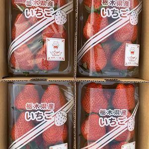 朝摘みバラエティパック「甘熟とちおとめ」4パック入