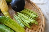 【印度カリー子さんとのコラボ商品】夏野菜5種×チキンカレー9種のスパイスセット