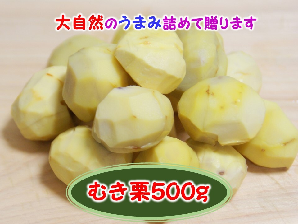 ほっこり甘さ凝縮！『冷凍むき栗』山鹿和栗（250ｇ×2パック）５００ｇ箱入り｜くりの商品詳細｜ポケットマルシェ｜産直(産地直送)通販 -  旬の果物・野菜・魚介をお取り寄せ