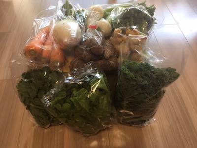 みんなの投稿の画像