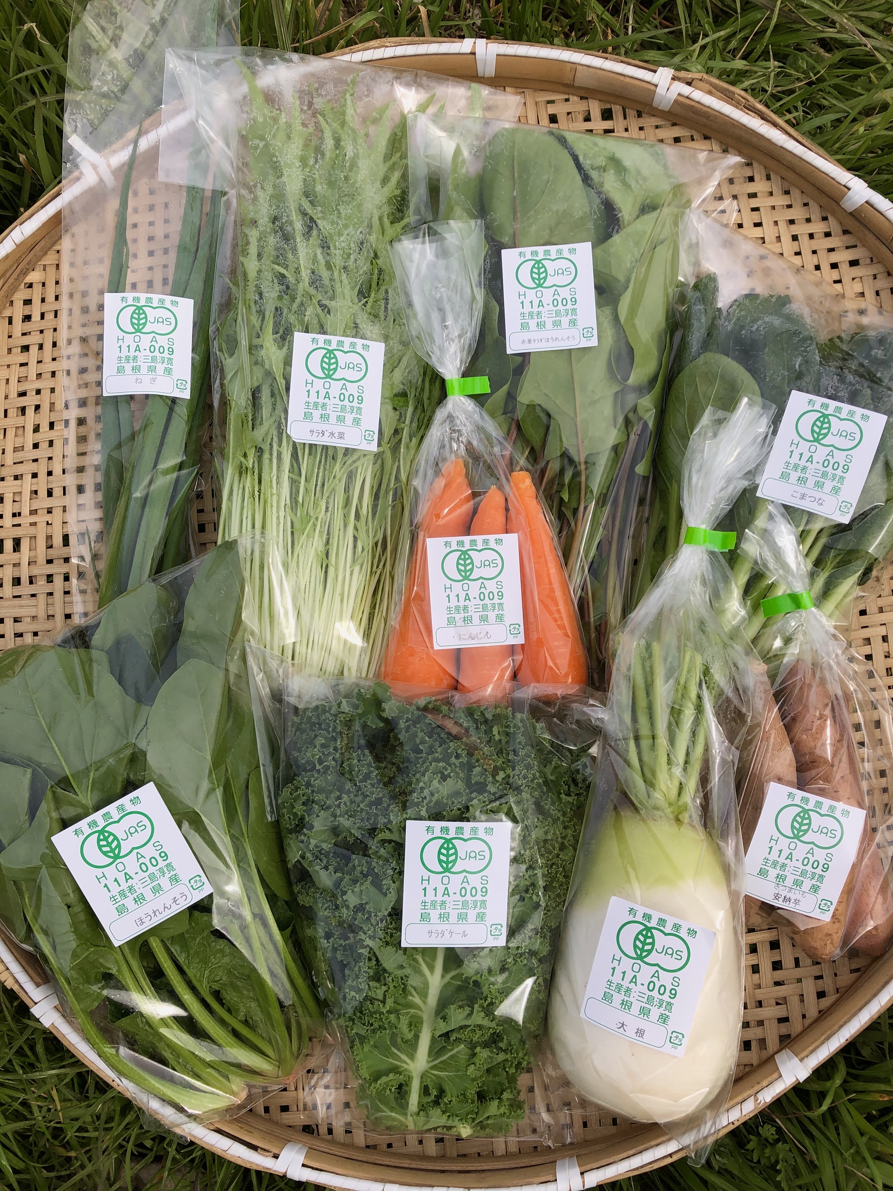 朝採れ新鮮！有機野菜の詰合せ（６種）【有機JAS認証】｜野菜の商品