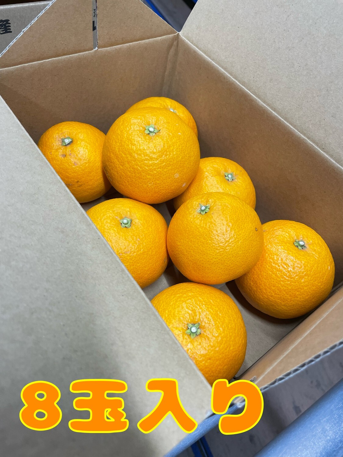 山下農園 春峰(しゅんぽう)｜雑柑類（夏みかん・甘夏など）の商品詳細