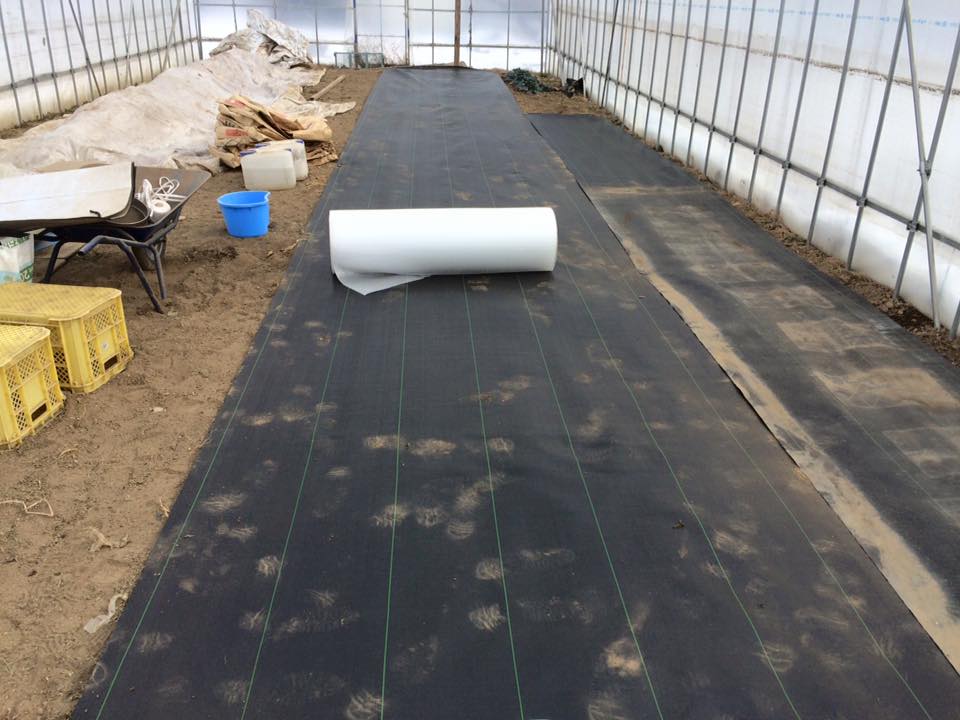 12647191_967303930026608_7989739626033760823_n