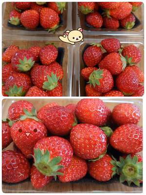 みんなの投稿の画像