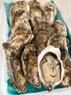 【生食も焼きも蒸しも 身がプリッ！と日本最東端の殻付き濃厚牡蠣】オゾン殺菌済み