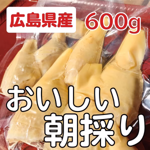 【朝採り】タケノコ水煮600ｇ、乾燥野菜なすおくら2pセット