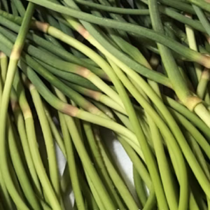 【送料込み】希少な赤蕾　新鮮にんにくの芽　250g
