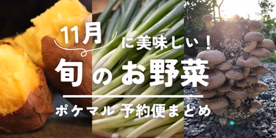 11月が旬の秋野菜（さつまいも・れんこん・きのこ等）旬食材 予約・購入も