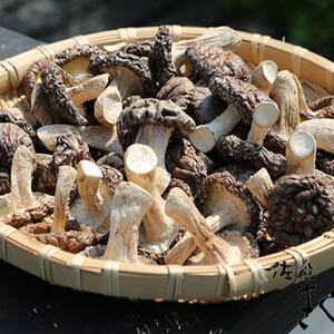 二段干し『肉厚』干し椎茸　100g
