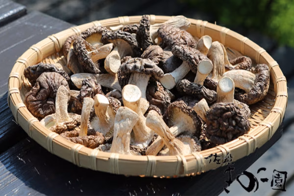 二段干し『肉厚』干し椎茸　100g