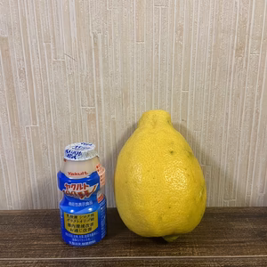 【家庭用】青レモン『璃の香』