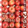 11月中旬〜【訳あり品●信州上田産りんご・サンふじ】約5kg 農カードつき