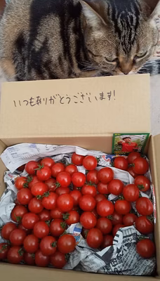 みんなの投稿の画像