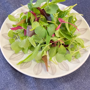 マイクロリーフミックス