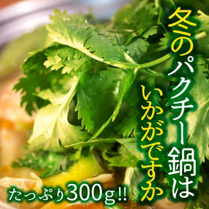 根っこ付きパクチー 100g（常温配送）