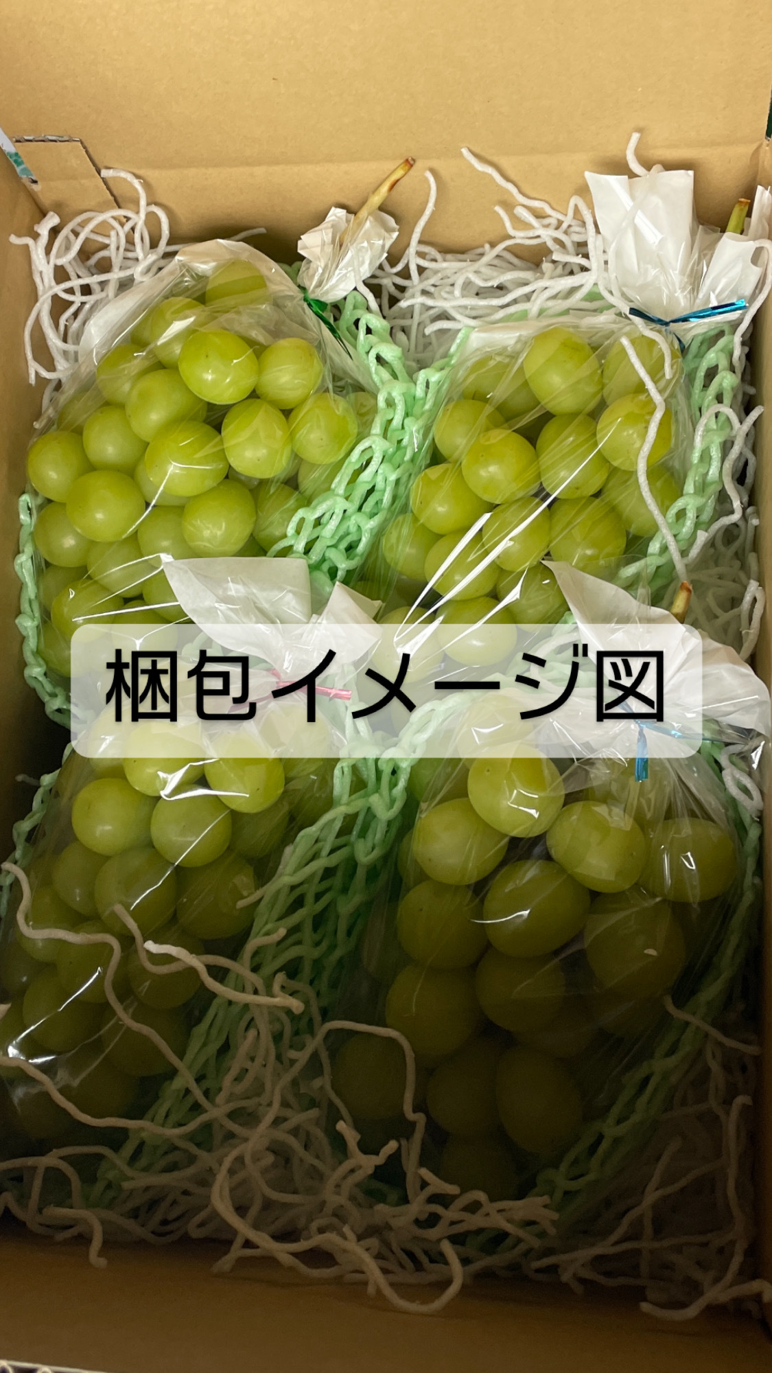 爽やかで甘〜い！シャインマスカット 4房 長野県産 種無しぶどう