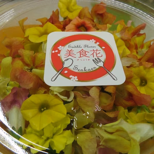 エディブルフラワー「美食花」黄系