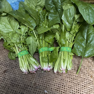 ほうれん草　3束　＋おまけ野菜　無農薬