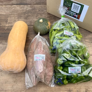 ☆有機JAS認証☆季節の彩り野菜セット