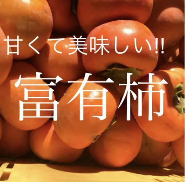 ⭐️福井農園の柿⭐️ 甘くて美味しい！特産物糸貫産！！