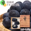 【先行予約】ナガノパープル1.6～1.8kg（3～4房）皮ごと食べられる！