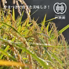 無農薬栽培・ヒノヒカリ白米　5ｋｇ（令和2年10月収穫・未検査米）