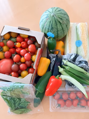 みんなの投稿の画像