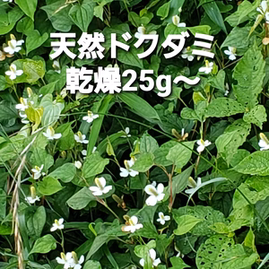 天然ドクダミ草乾燥葉茎花送料込み