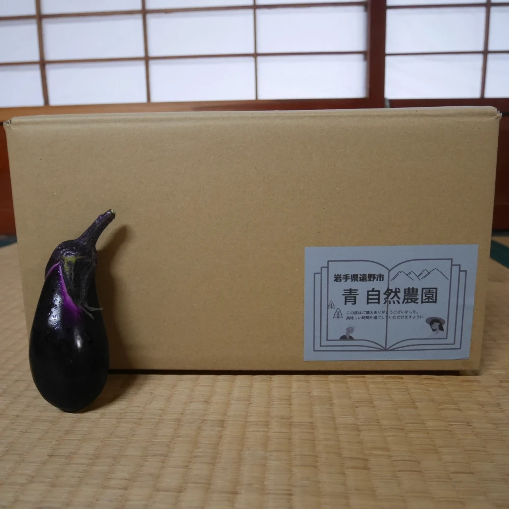 [80サイズ]子どもも喜ぶ美味しい野菜！もぐもぐ野菜セット [農薬・肥料不使用]