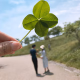 ポケットチッチ