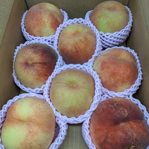 桃　大玉サイズ限定割引販売