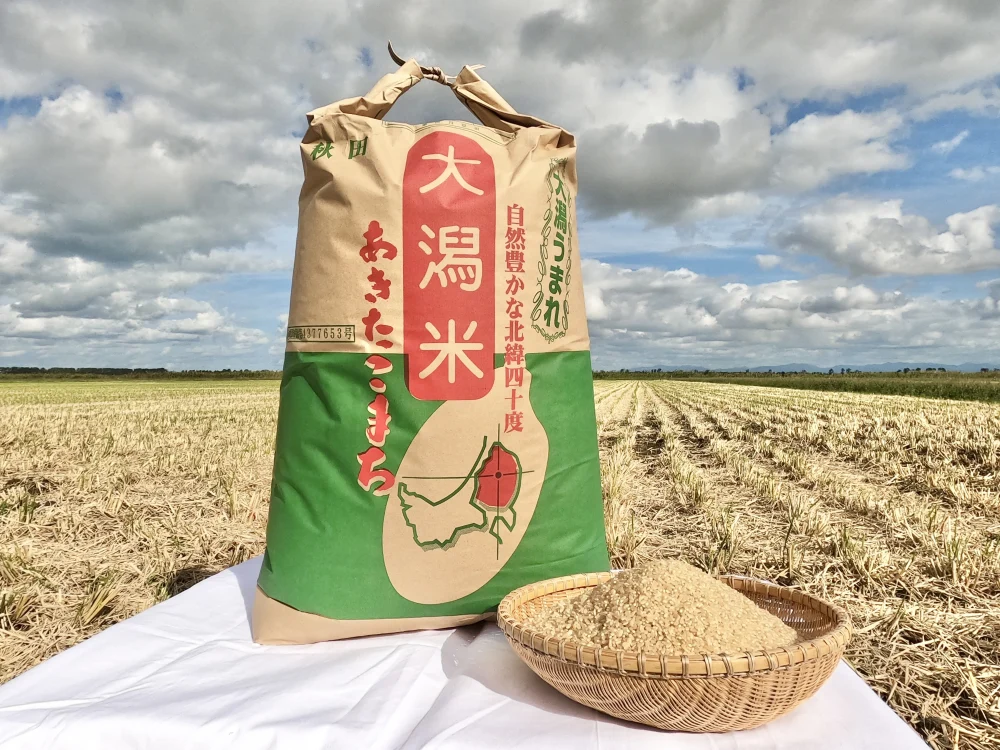 ✨新米一等米✨【大粒厳選】あきたこまち特別栽培米/令和5年産